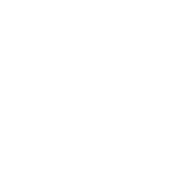 The Ark